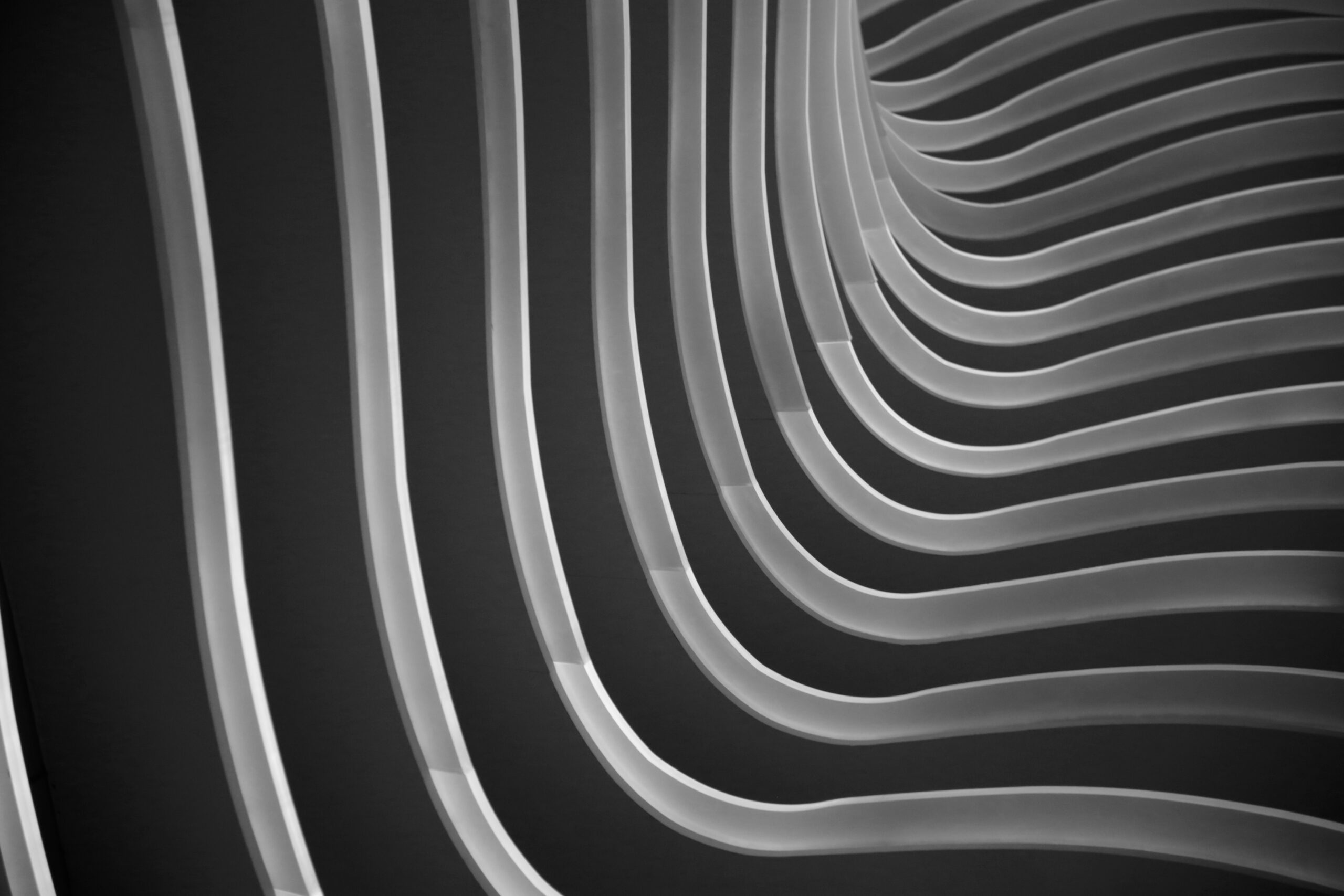 loi de simplification